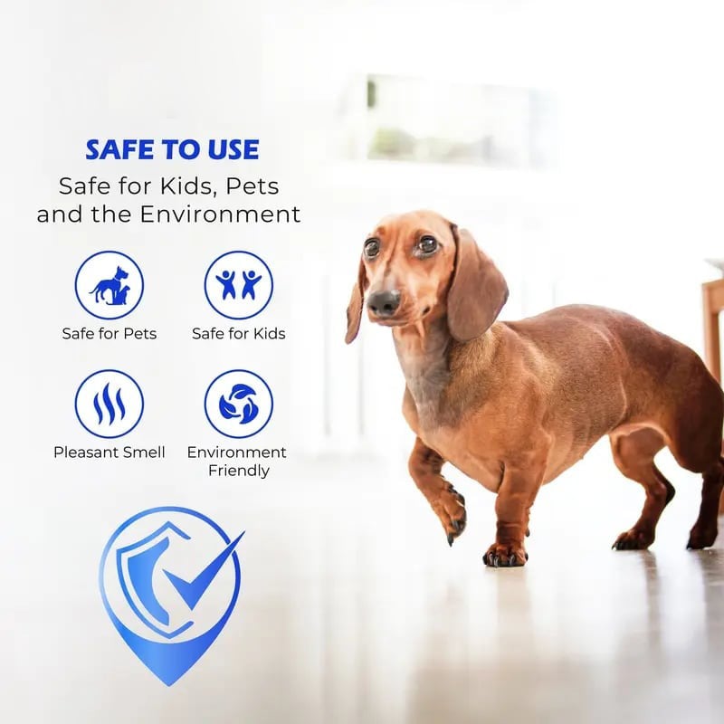 🔥Siste dag med 50 % rabatt – ✨🧴 Clean-llx Gulvfornyer – Gir glans og beskyttelse umiddelbart 🏠