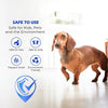 🔥Siste dag med 50 % rabatt – ✨🧴 Clean-llx Gulvfornyer – Gir glans og beskyttelse umiddelbart 🏠